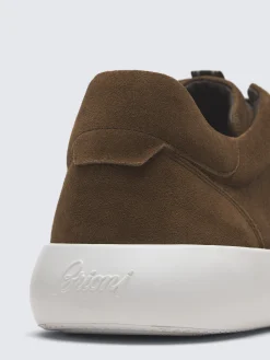Brown suede Olympia sneakers