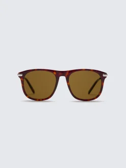 Burnt brown aviator sunglasses